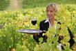 Smiling waitress with wine in a vineyard