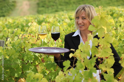 Photo: Smiling waitress with wine in a vineyard Smiling waitress with wine in a vineyard