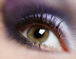 Fashion woman eye makeup.