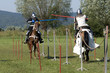 medieval show