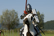 medieval show