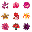 flowers hand drawn icons in vector