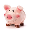 Piggy bank