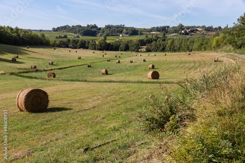Photo: Paysage de campagne Paysage de campagne