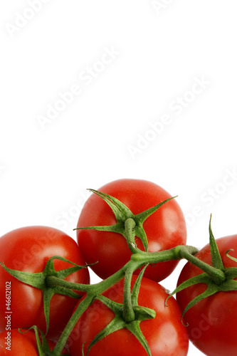 Photo: Tomatoes on the vine Tomatoes on the vine