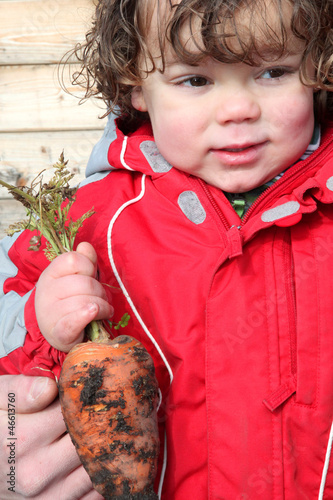 Photo: Little boy holding a carrot in kitchen garden Little boy holding a carrot in kitchen garden