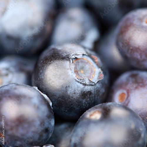 Photo: Frische Heidelbeeren Frische Heidelbeeren