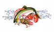 Group composition of different seafood and fish, with water spla