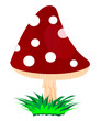 Mushroom fly agaric