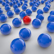 Individuum und Gesellschaft