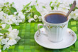 cup of coffee with the sprigs of flowering apple-tree