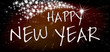 SILVESTER  *** Happy New Year