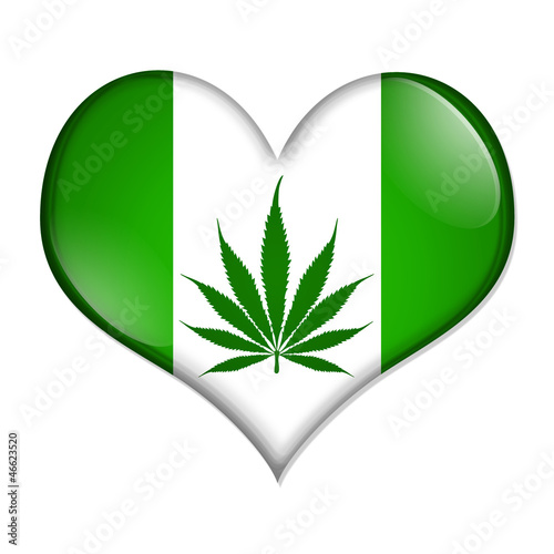 HOJA DE CANAVIS hoja de canavis: