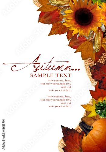 Photo: Autumn Background Autumn Background