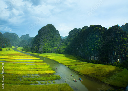 Photo: Rice field and river, Ninh Binh, viet nam Rice field and river, Ninh Binh, viet nam