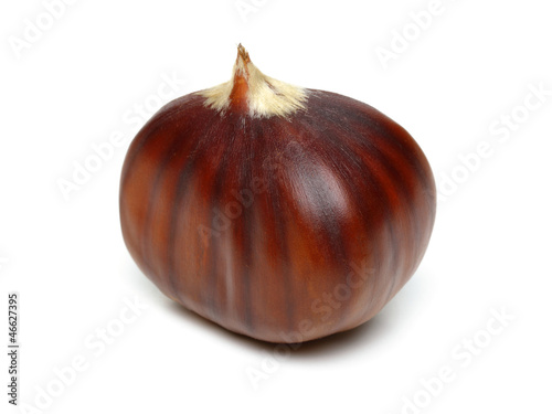 Photo: Chestnut Chestnut