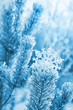 Foto: Winter background with decorative snowflake on the tree Winter background with decorative snowflake on the tree