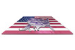 A simple 3D map of United States of America on a 3d flag