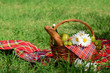 Photo: Picnic basket Picnic basket