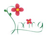Spring Flowers