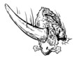 Prehistoric animal