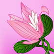 abstract vector background with rose-colored flower. eps10