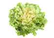 salade scarole