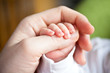 Babys Hand in Mamas Hand