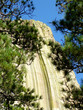 Devils Tower