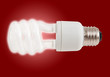 New Style Light Bulb