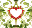 Roseheart