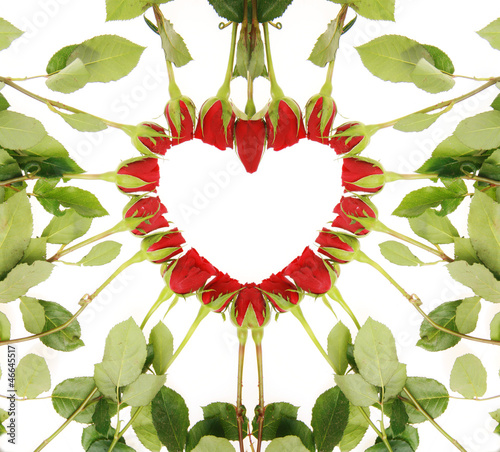 Photo: Roseheart Roseheart