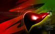 Illustration: liver liver