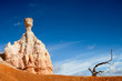 Stone gnome and a dead tree