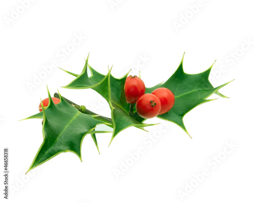 Photo: Holly Holly