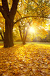 herbstzeit
