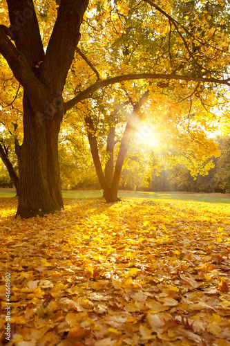 Photo: herbstzeit herbstzeit