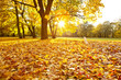 herbsttag