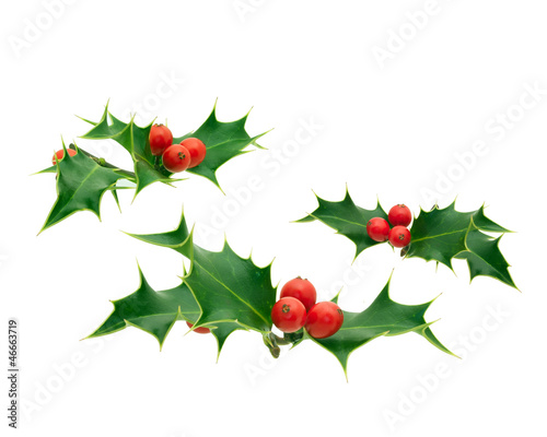 Photo: Holly Holly