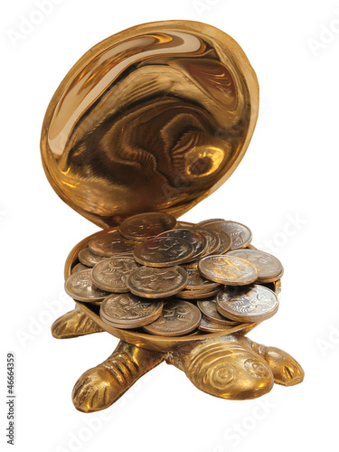 Photo: Money Tortoise Money Tortoise