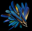 Plumas de guacamayo