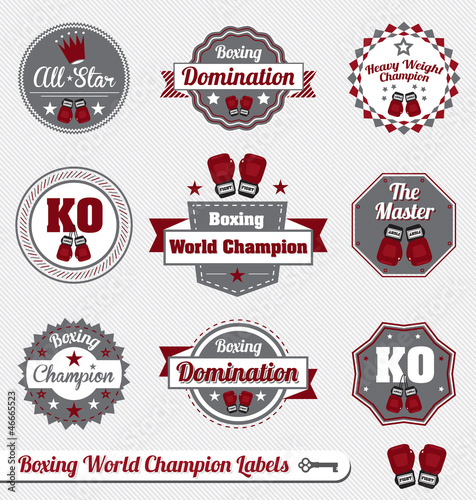 Vector: Vector Set: Boxing World Champion Labels and Icons Vector Set: Boxing World Champion Labels and Icons