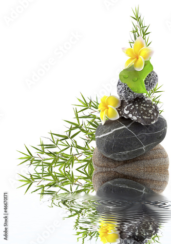 Photo: composition galet, bambou et fleurs composition galet, bambou et fleurs