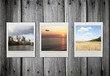 Three photos