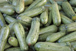 Zucchini