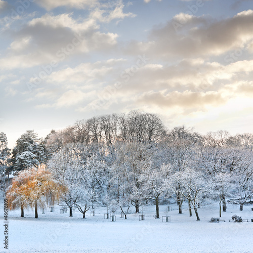 Photo: First snow in the park. First snow in the park.
