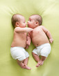 funny twins brothers babies lying on green