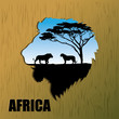 African lions background