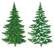 Christmas trees