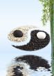 concept zen bambou yin yang